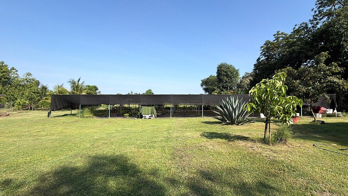Lote em Talismán, Tuxtla Chico, foto 13 de 28