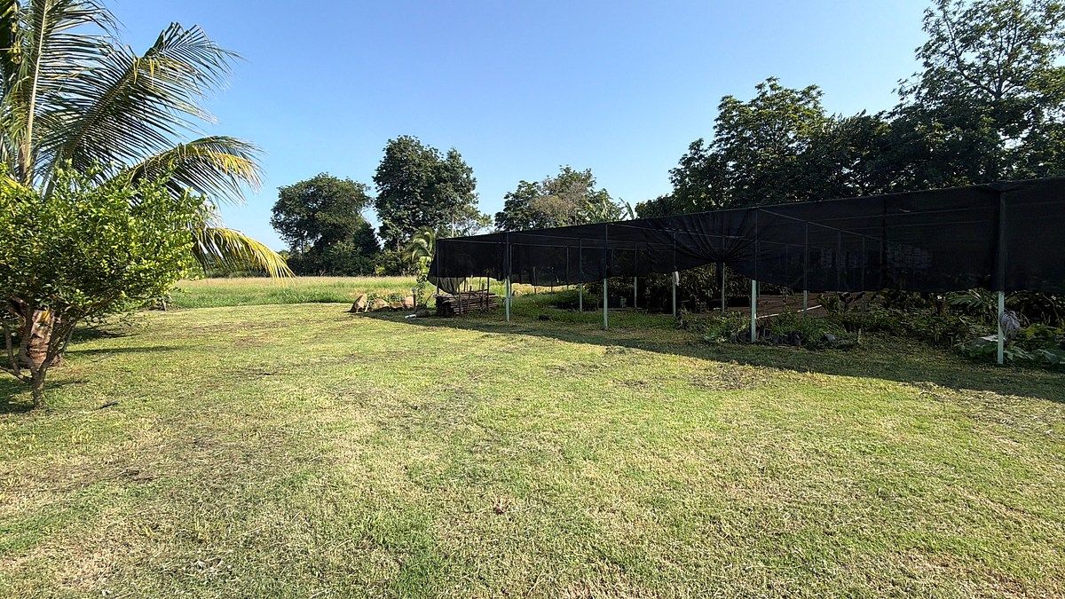 Lote em Talismán, Tuxtla Chico, foto 14 de 28
