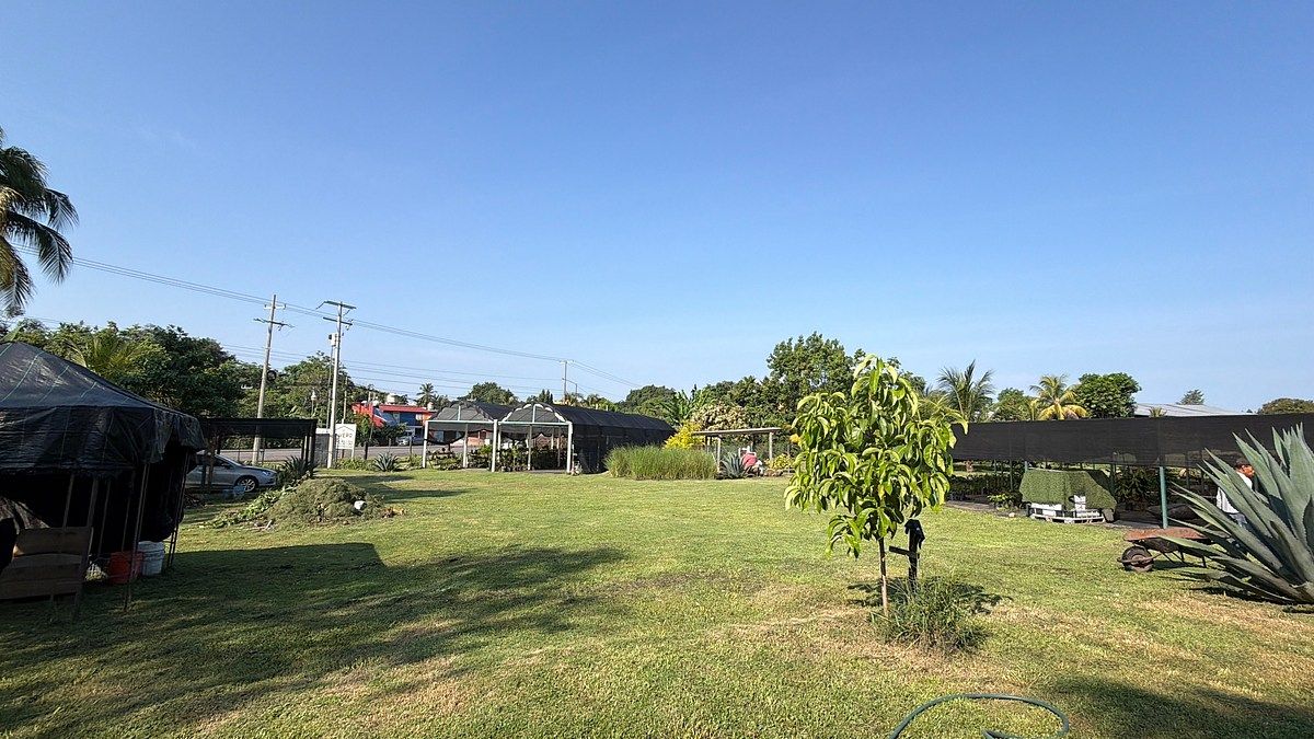 Lote em Talismán, Tuxtla Chico, foto 15 de 28