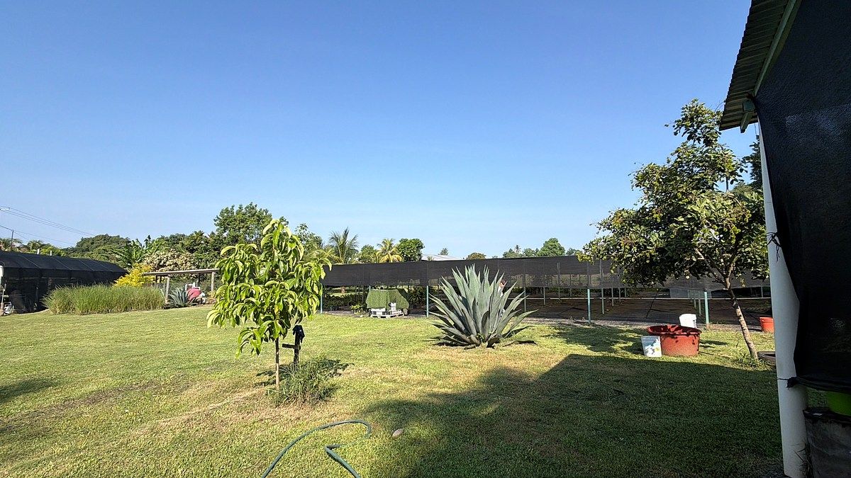 Lote em Talismán, Tuxtla Chico, foto 16 de 28