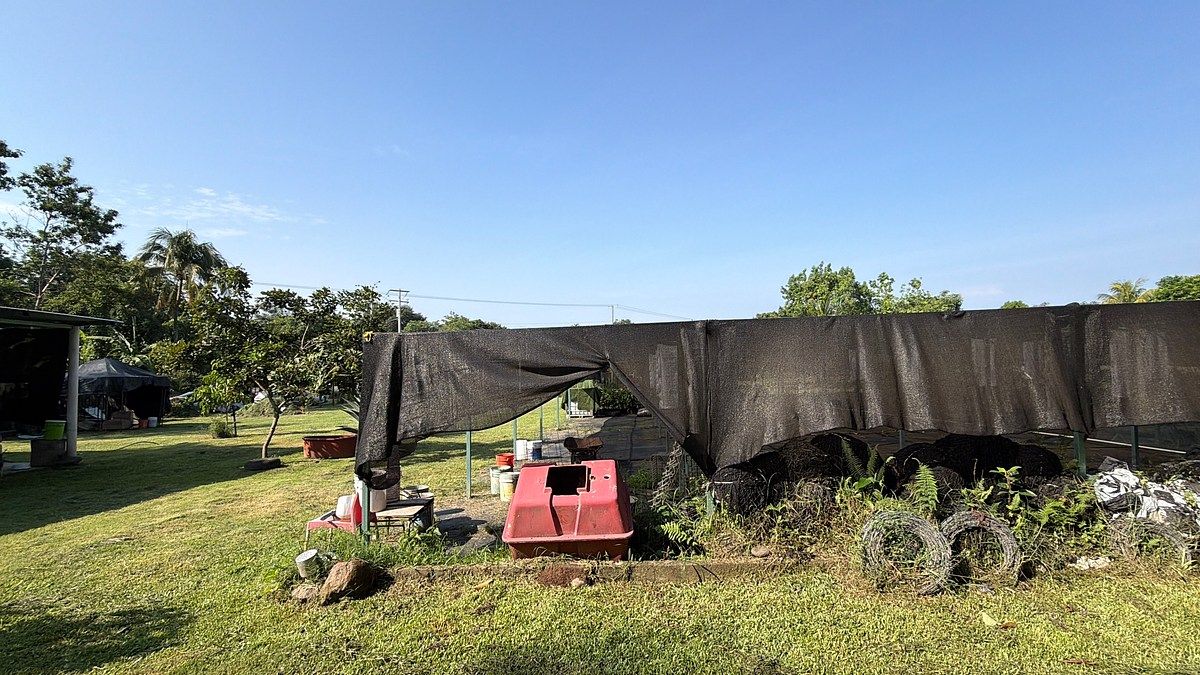 Lote em Talismán, Tuxtla Chico, foto 18 de 28
