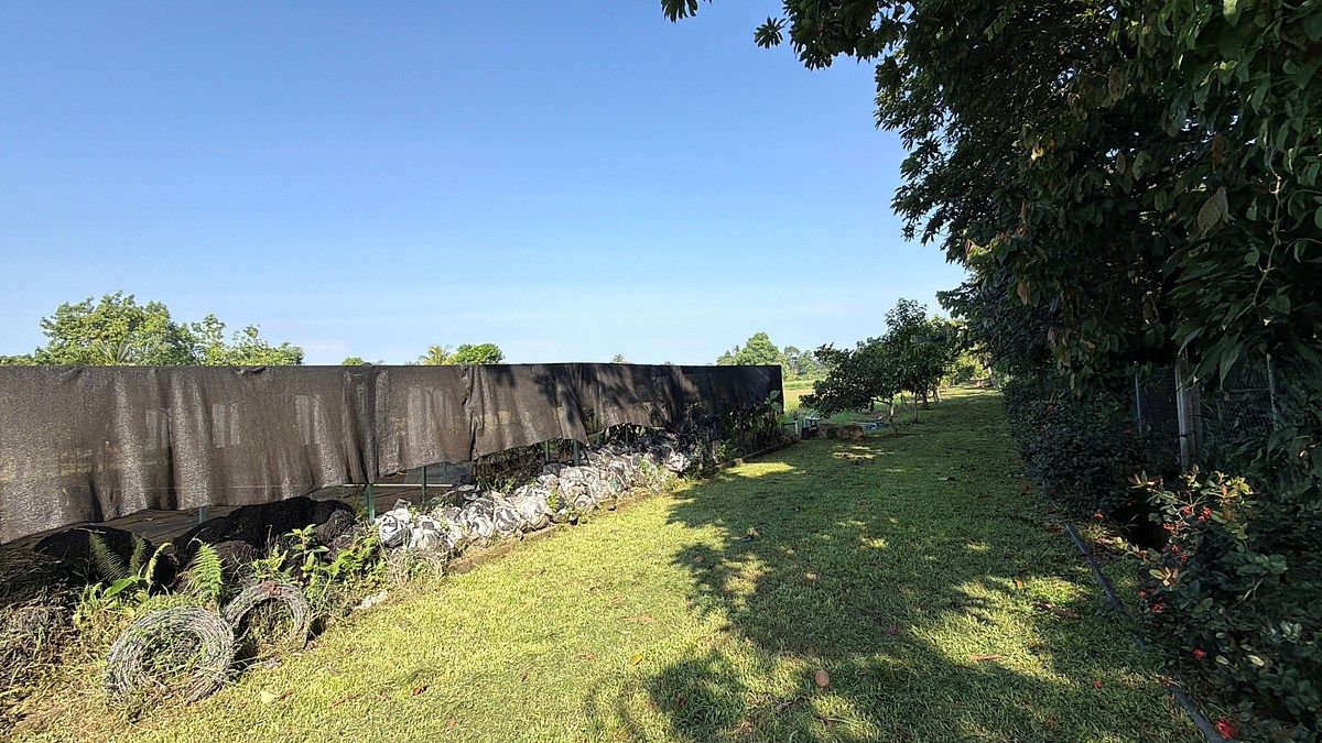 Lote em Talismán, Tuxtla Chico, foto 19 de 28