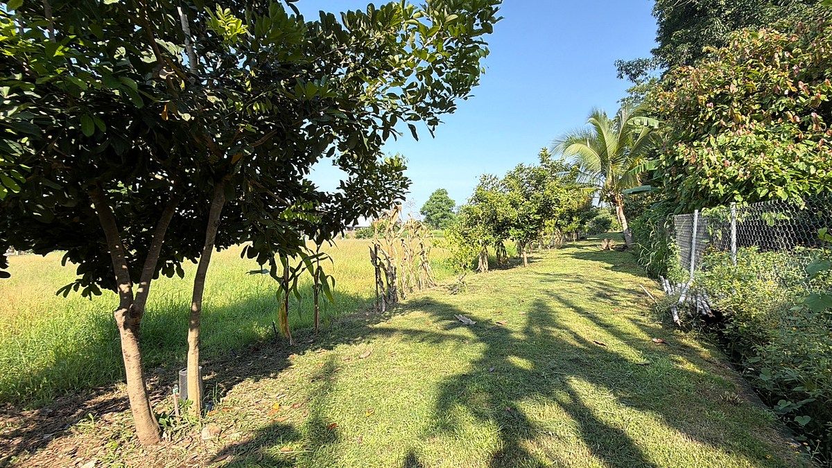 Lote em Talismán, Tuxtla Chico, foto 20 de 28