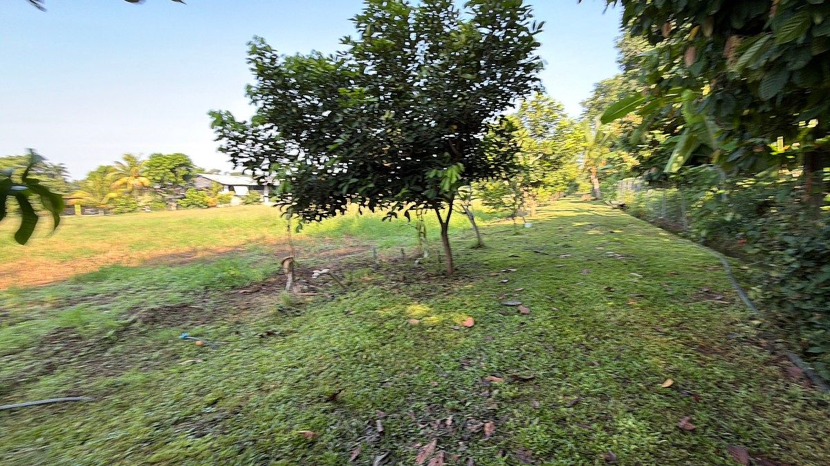 Lote em Talismán, Tuxtla Chico, foto 21 de 28