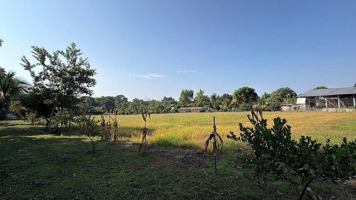 Lote em Talismán, Tuxtla Chico, foto 22 de 28
