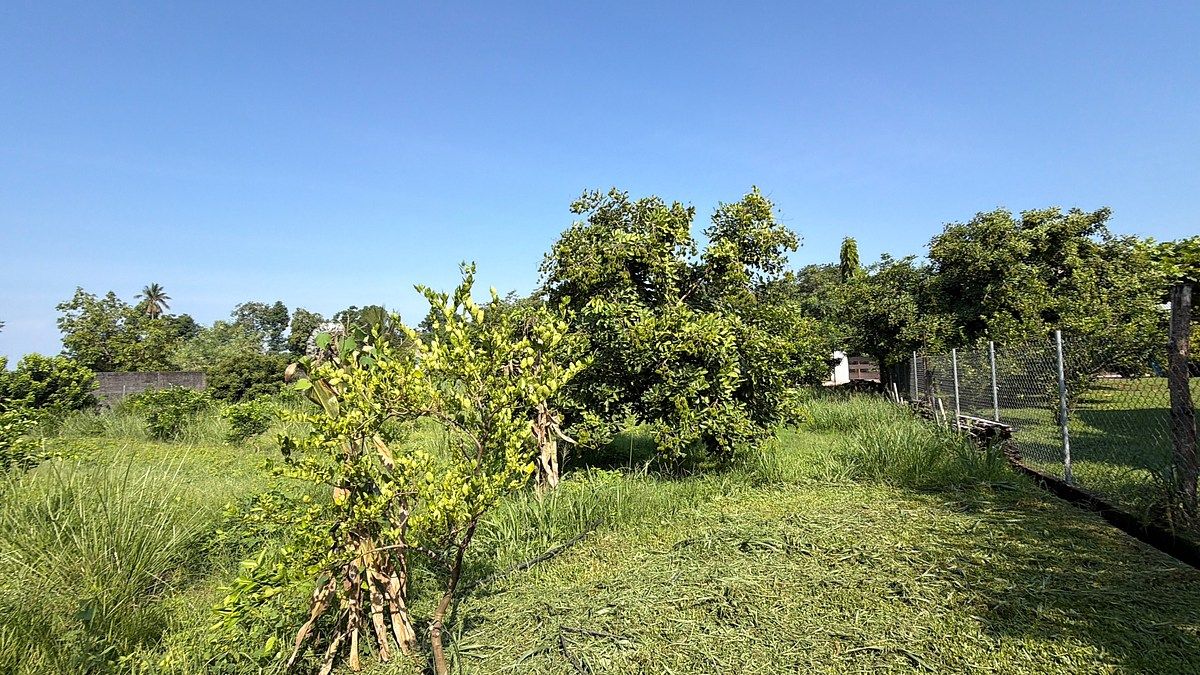 Lote em Talismán, Tuxtla Chico, foto 23 de 28