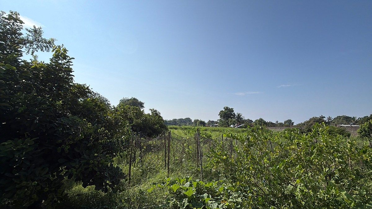 Lote em Talismán, Tuxtla Chico, foto 25 de 28