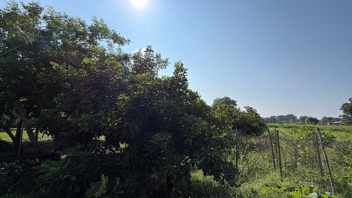 Lote em Talismán, Tuxtla Chico, foto 26 de 28