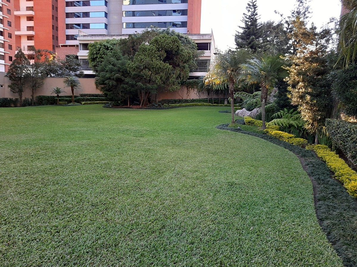 Zona 14 / Edificio Bellagio / 236m² - Image 1