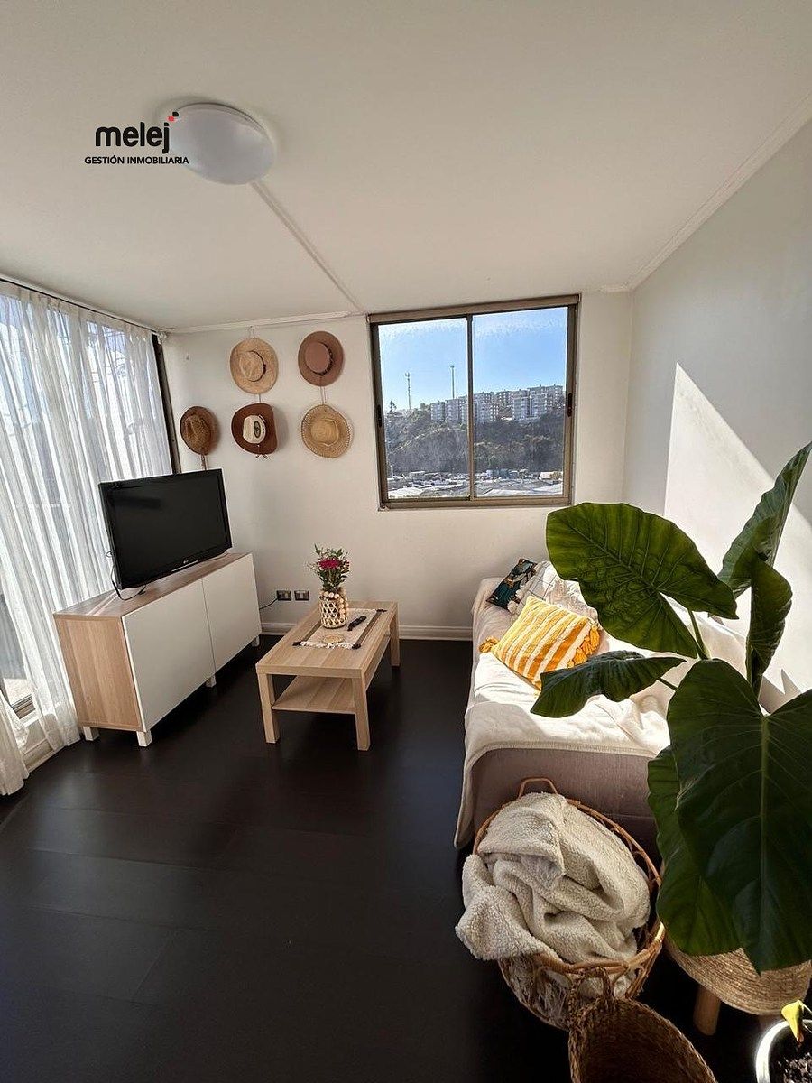 Departamento en Viña del Mar, foto 2 de 15