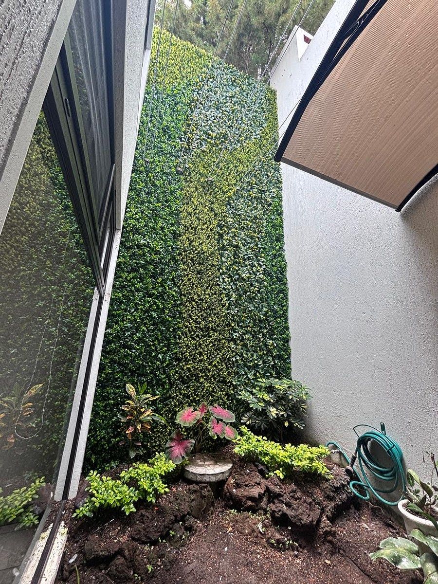 Jardin interno, foto 10 de 26