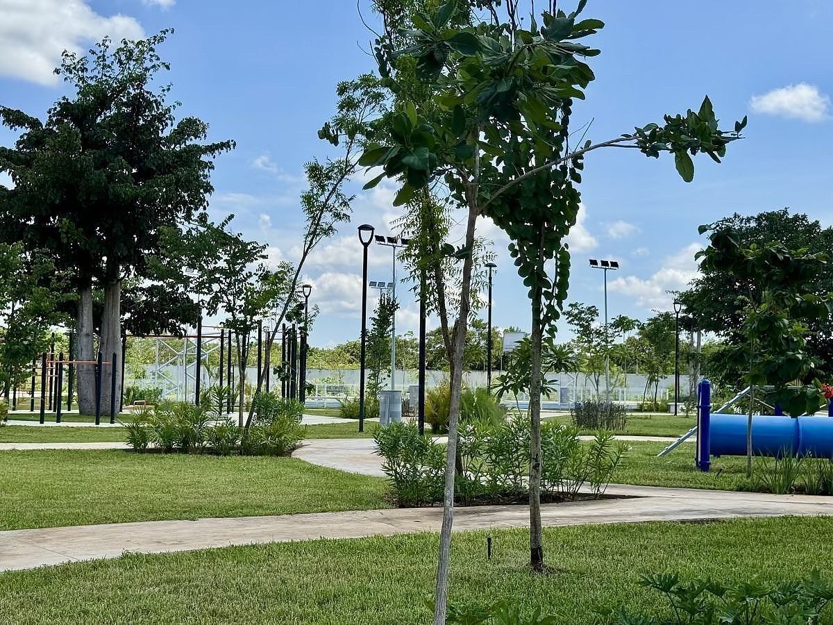 Lote em Santa Gertrudis Copo, Mérida, foto 7 de 21
