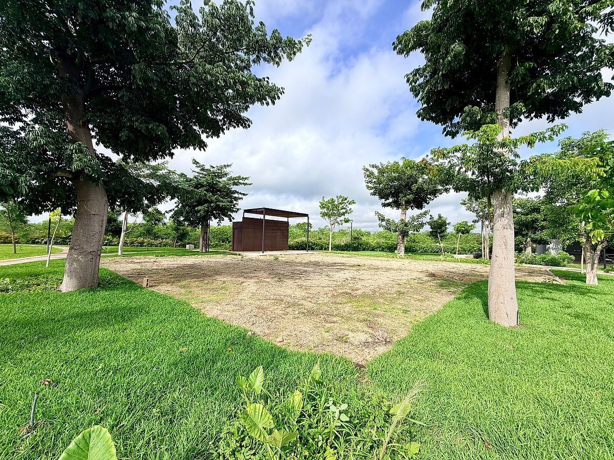 Lote em Santa Gertrudis Copo, Mérida, foto 12 de 21