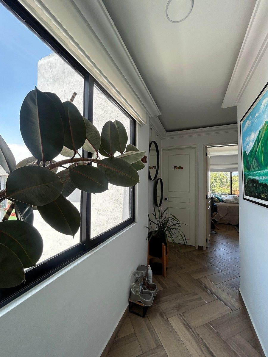 Apartamento em Escandón I Sección, Miguel Hidalgo, foto 11 de 21