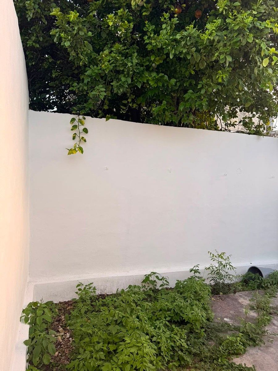Casa em Francisco de Montejo, Mérida, foto 9 de 10