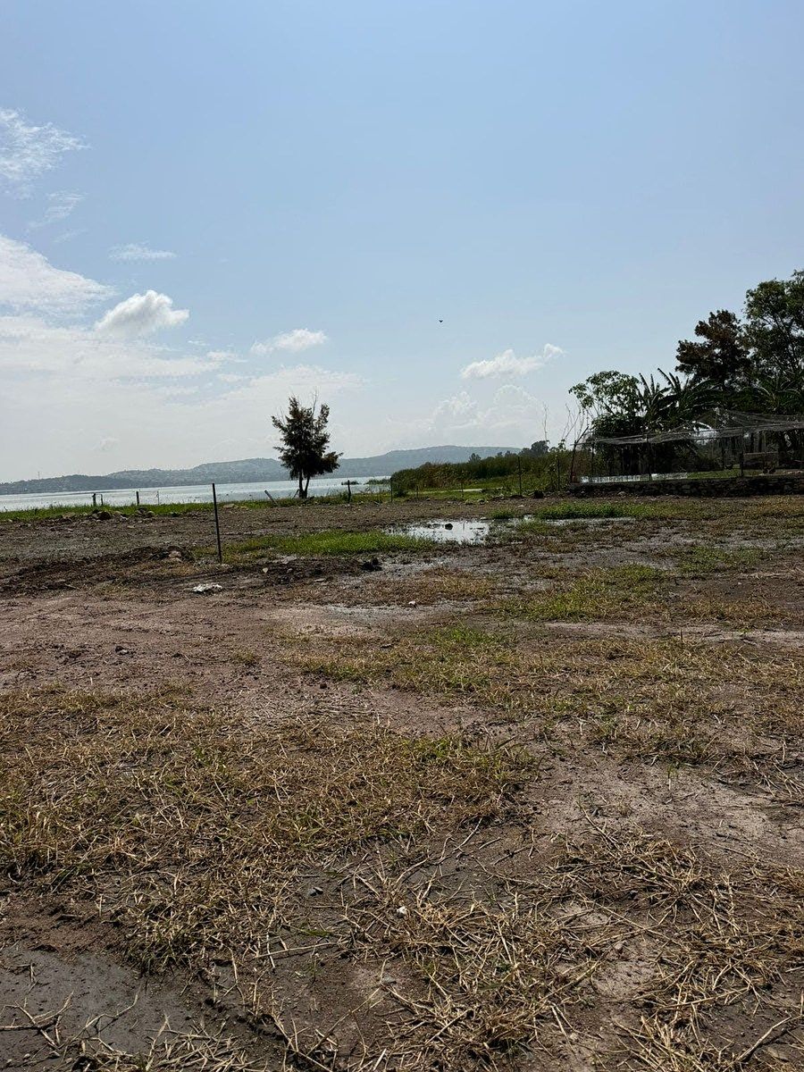 Terreno en San Juan Evangelista (San Juan), Tlajomulco de Zúñiga, foto 3 de 7