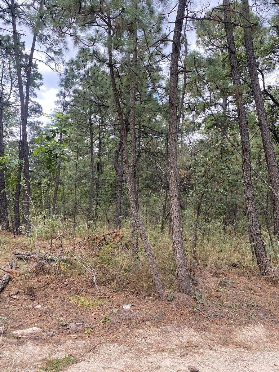 Terreno en Los Espinos, Tapalpa, foto 5 de 6
