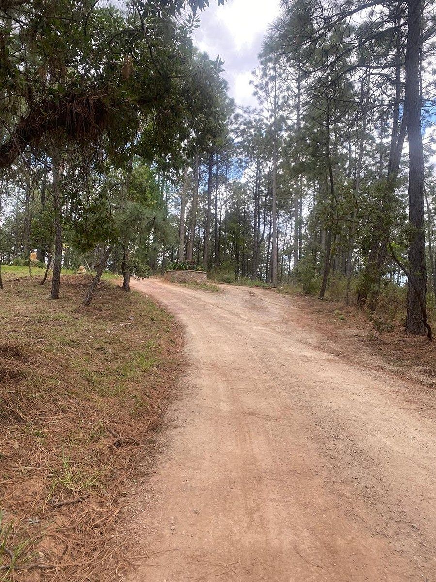 Terreno en Los Espinos, Tapalpa, foto 3 de 6