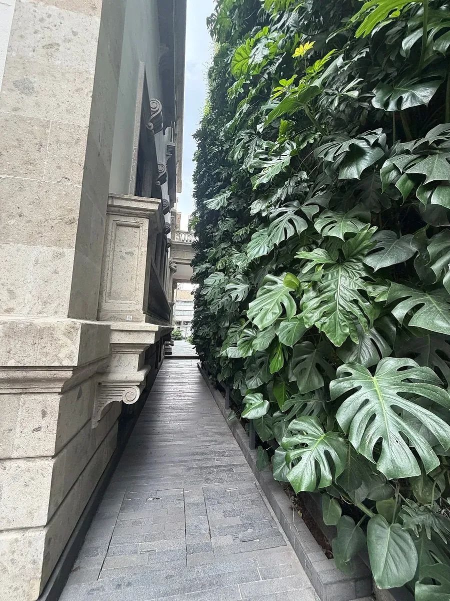 Apartamento em Polanco III Sección, Miguel Hidalgo, foto 3 de 27