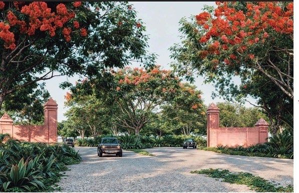 Lot in Mani, Maní, photo 2 of 7