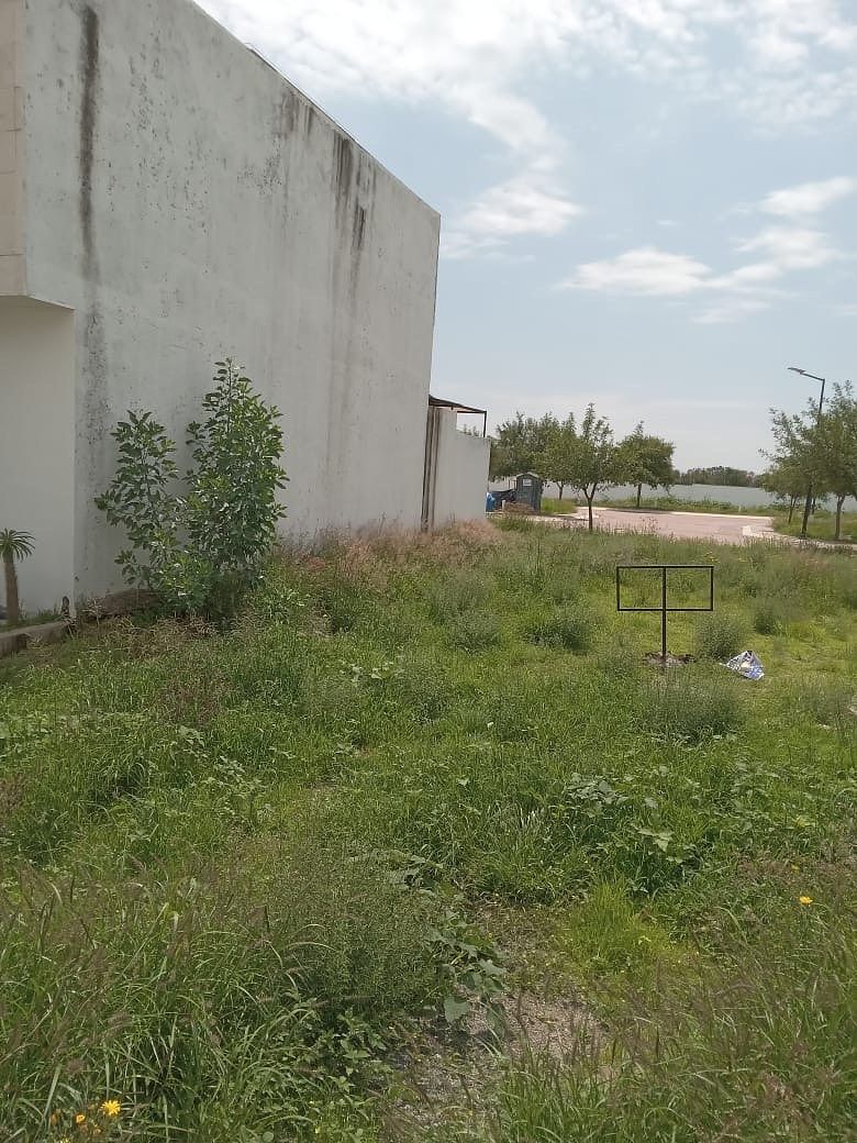 Terreno en Ciudad Maderas Residencial Querétaro, El Marqués, foto 2 de 7