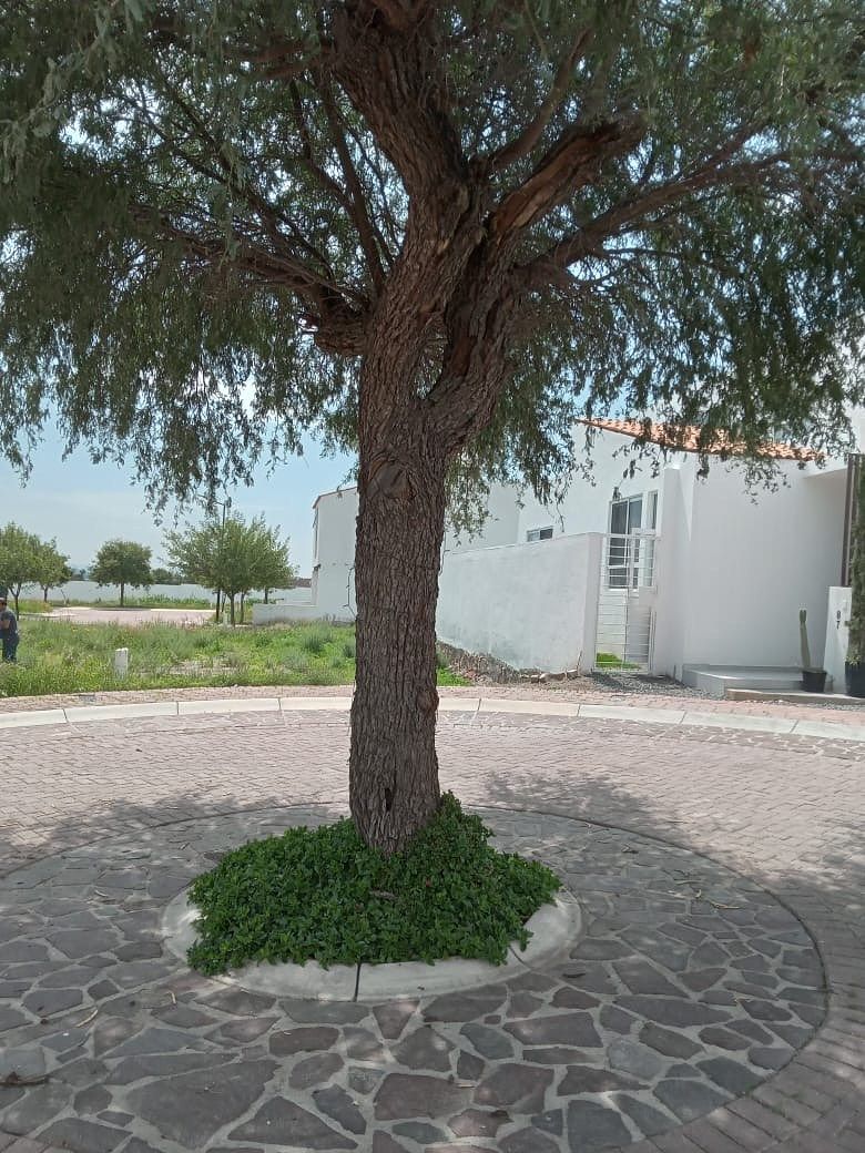 Terreno en Ciudad Maderas Residencial Querétaro, El Marqués, foto 6 de 7