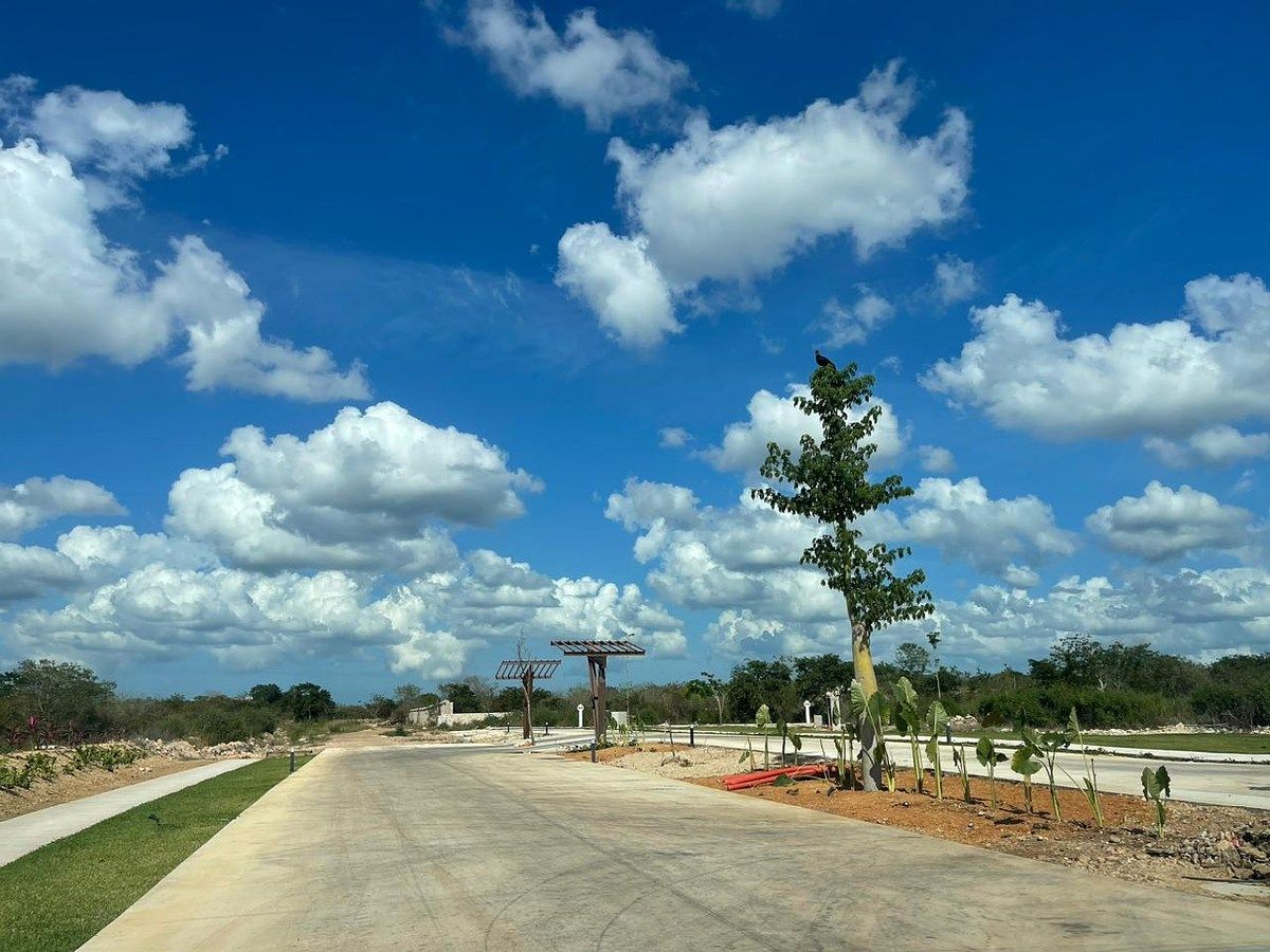 Lot in Cabo Norte, Mérida, photo 2 of 20