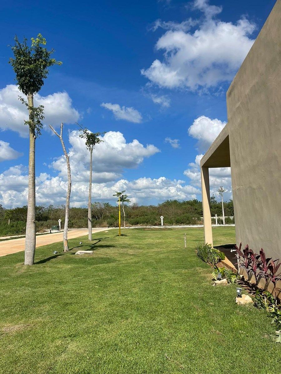 Lot in Cabo Norte, Mérida, photo 5 of 20