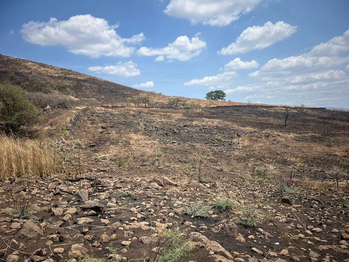 Lote em Jauja, Tonalá, foto 3 de 5