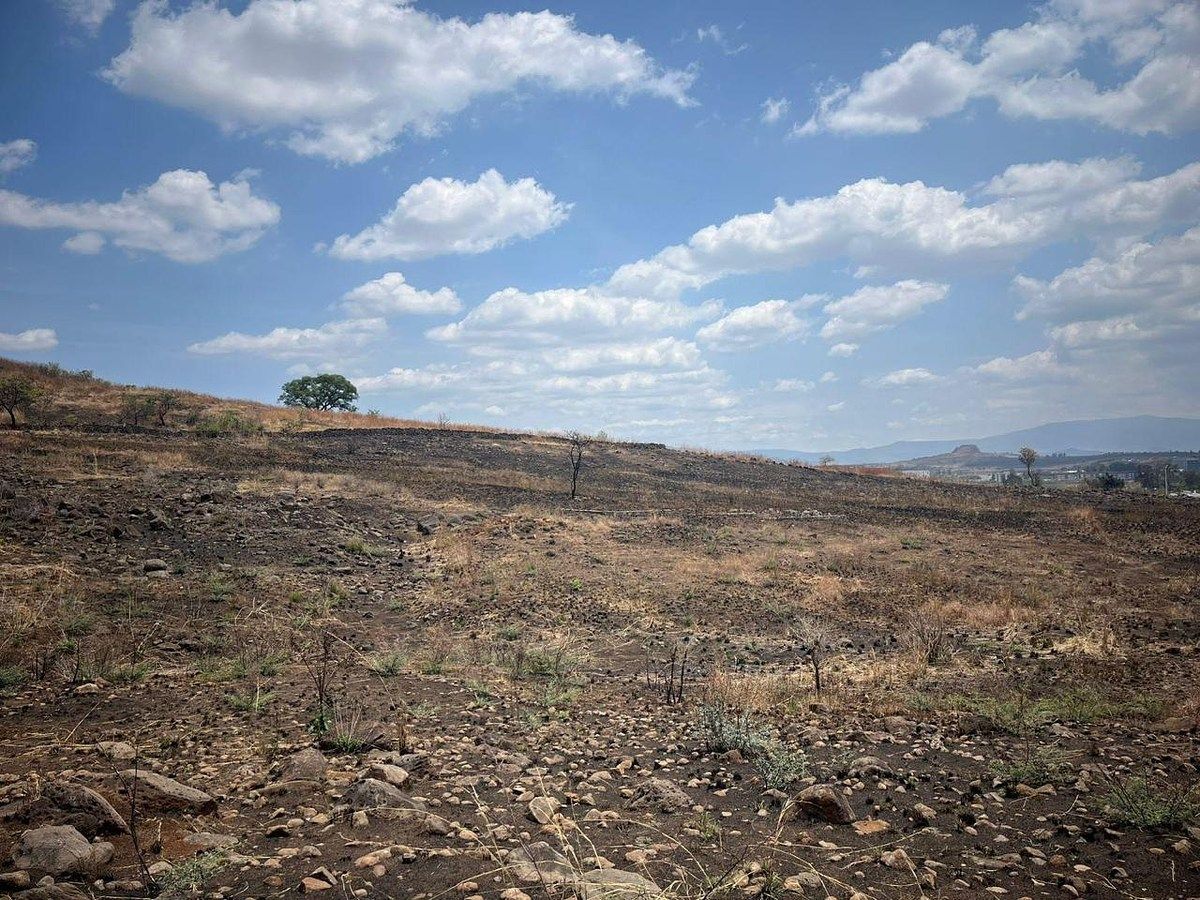Lote em Jauja, Tonalá, foto 4 de 5