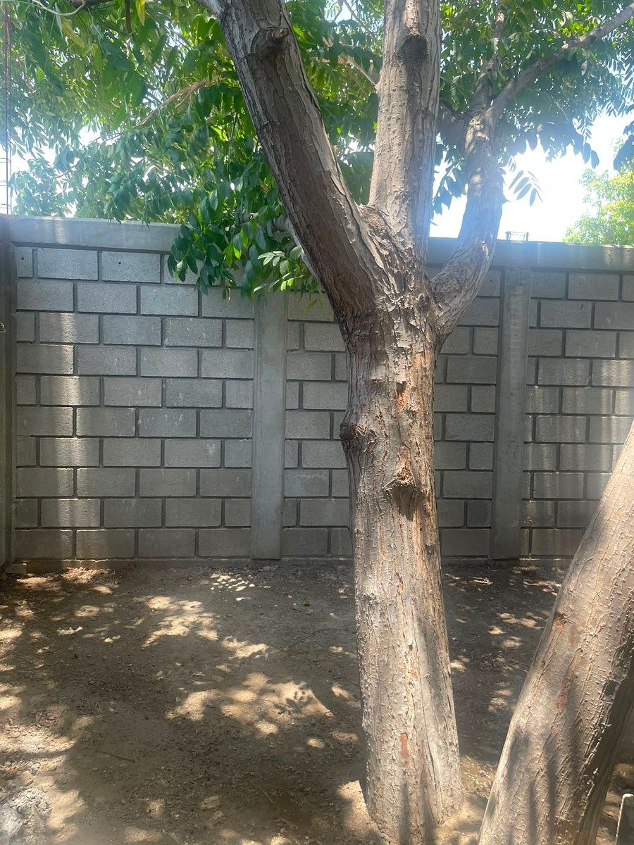 Casa en Plan de Ayala, Tuxtla Gutiérrez, foto 8 de 10