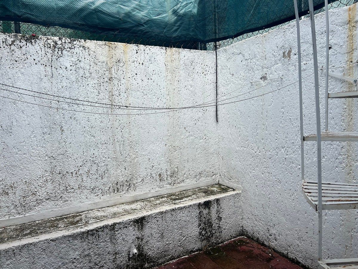 Casa em Arboledas 1a Secc, Zapopan, foto 16 de 17