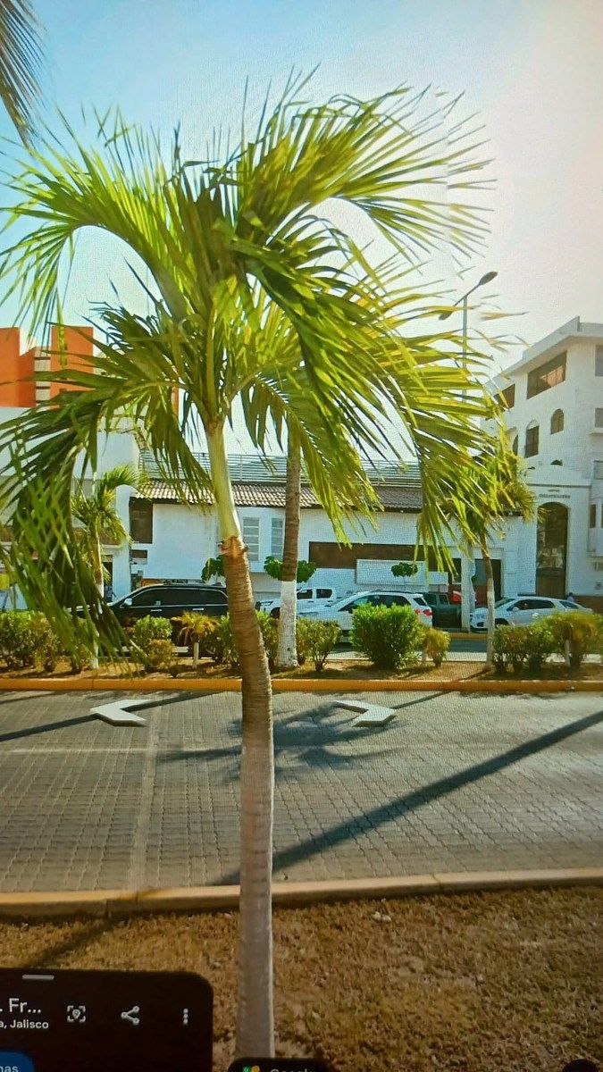 Local em Las Glorias, Puerto Vallarta, foto 2 de 16