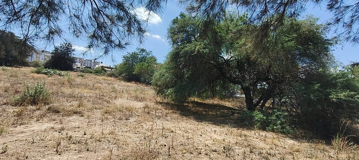 Lote em Lomas Del Sur, Tlajomulco de Zúñiga, foto 6 de 7