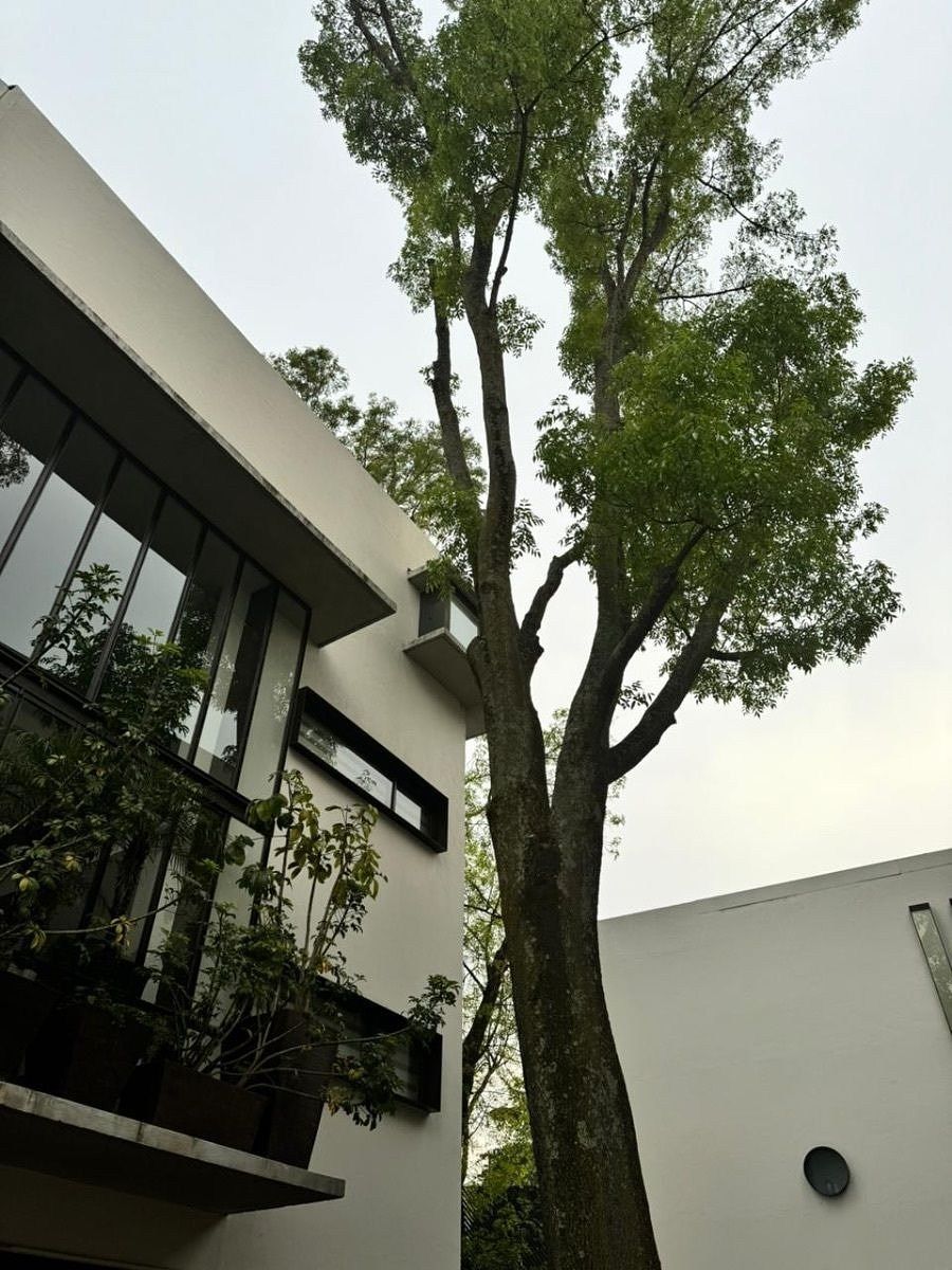 House in La Manzanita, Cuajimalpa de Morelos, photo 13 of 13