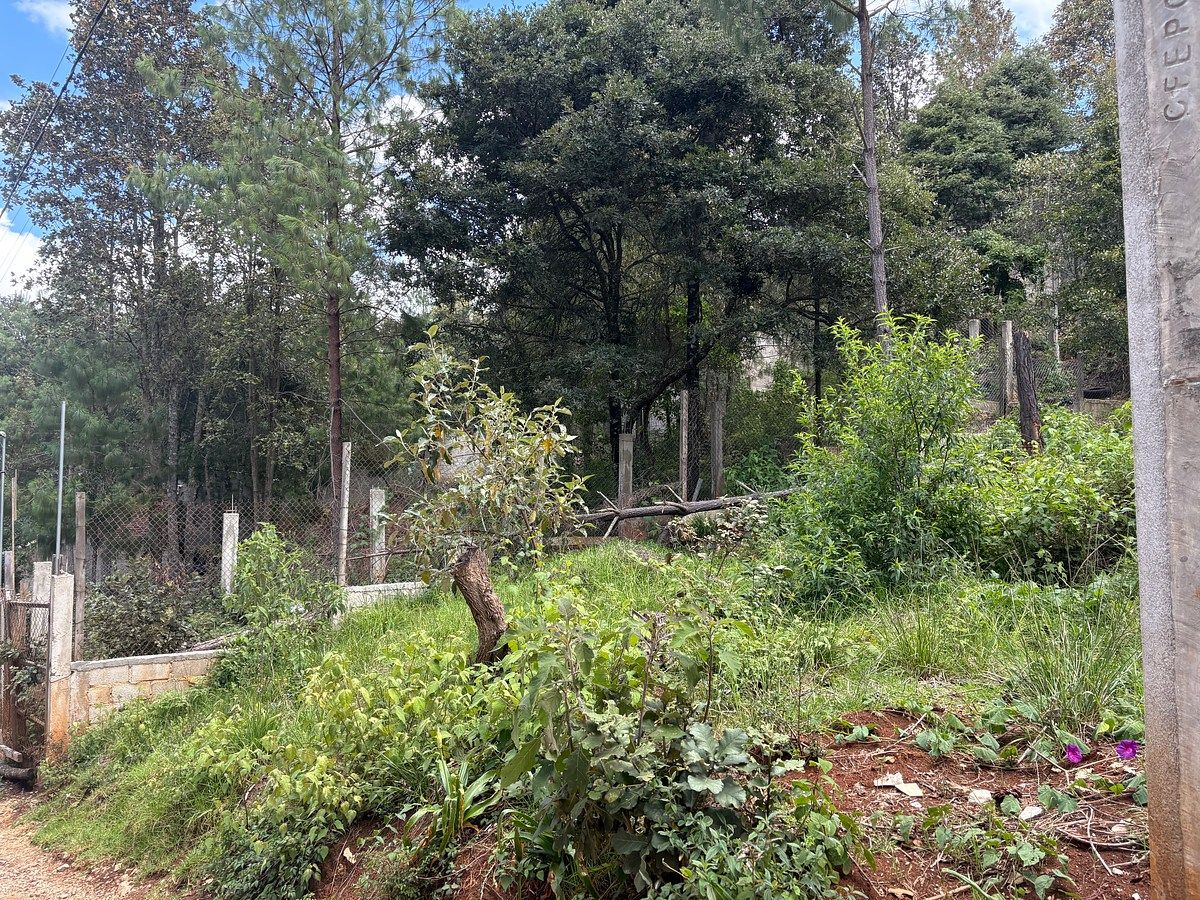 House in María Auxiliadora, San Cristóbal de Las Casas, photo 18 of 20