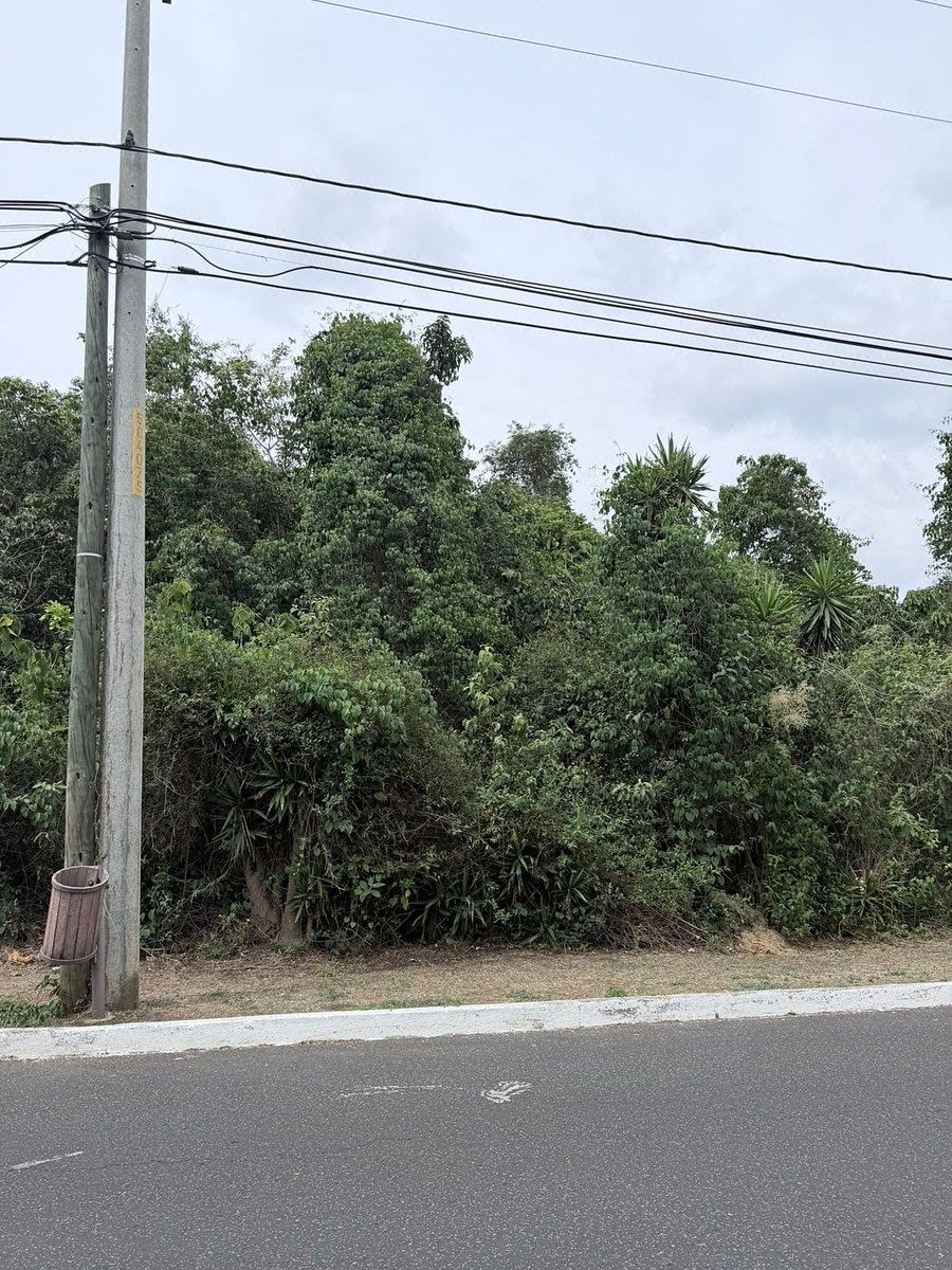 Terrenos en Venta | Jardines de San Isidro, Zona 16 - Image 4