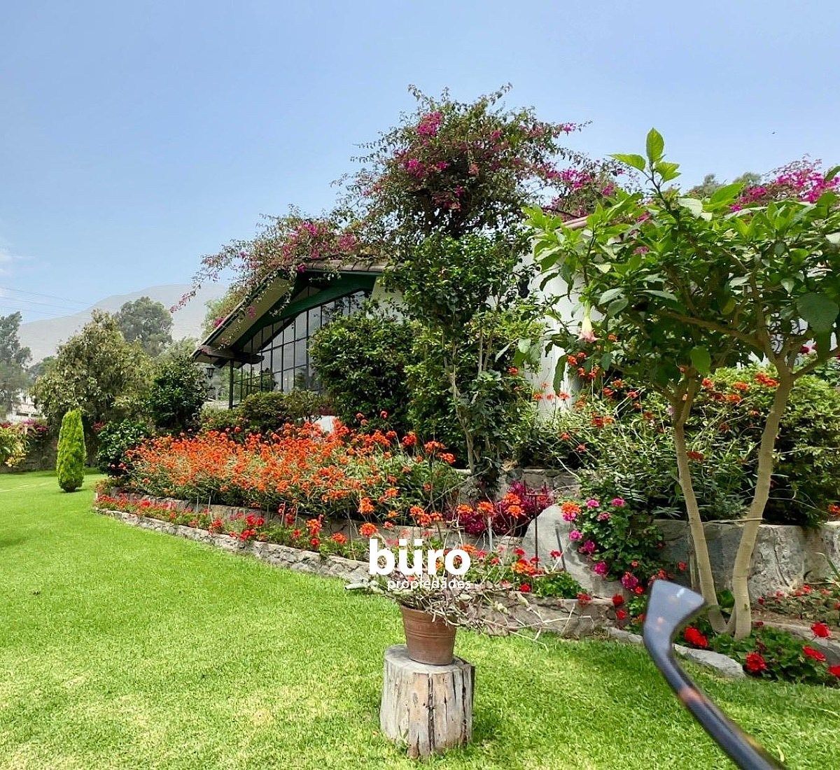 Hermoso jardín rodeado de plantas., foto 8 de 33