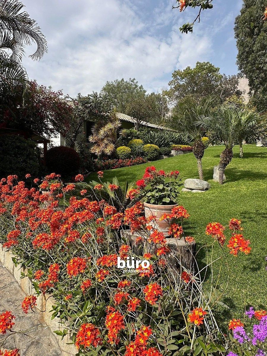 Espectaculares jardines., foto 10 de 33