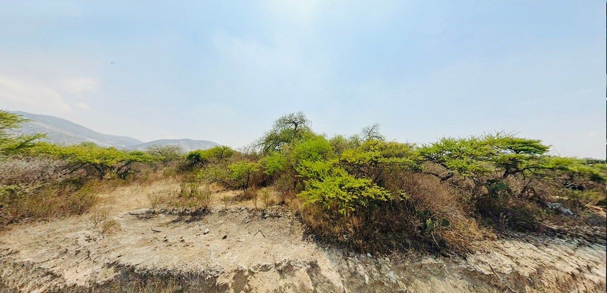 Terreno en Juárez, Apaxco, foto 16 de 38