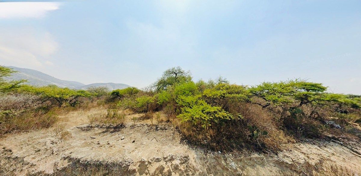 Terreno en Juárez, Apaxco, foto 18 de 38