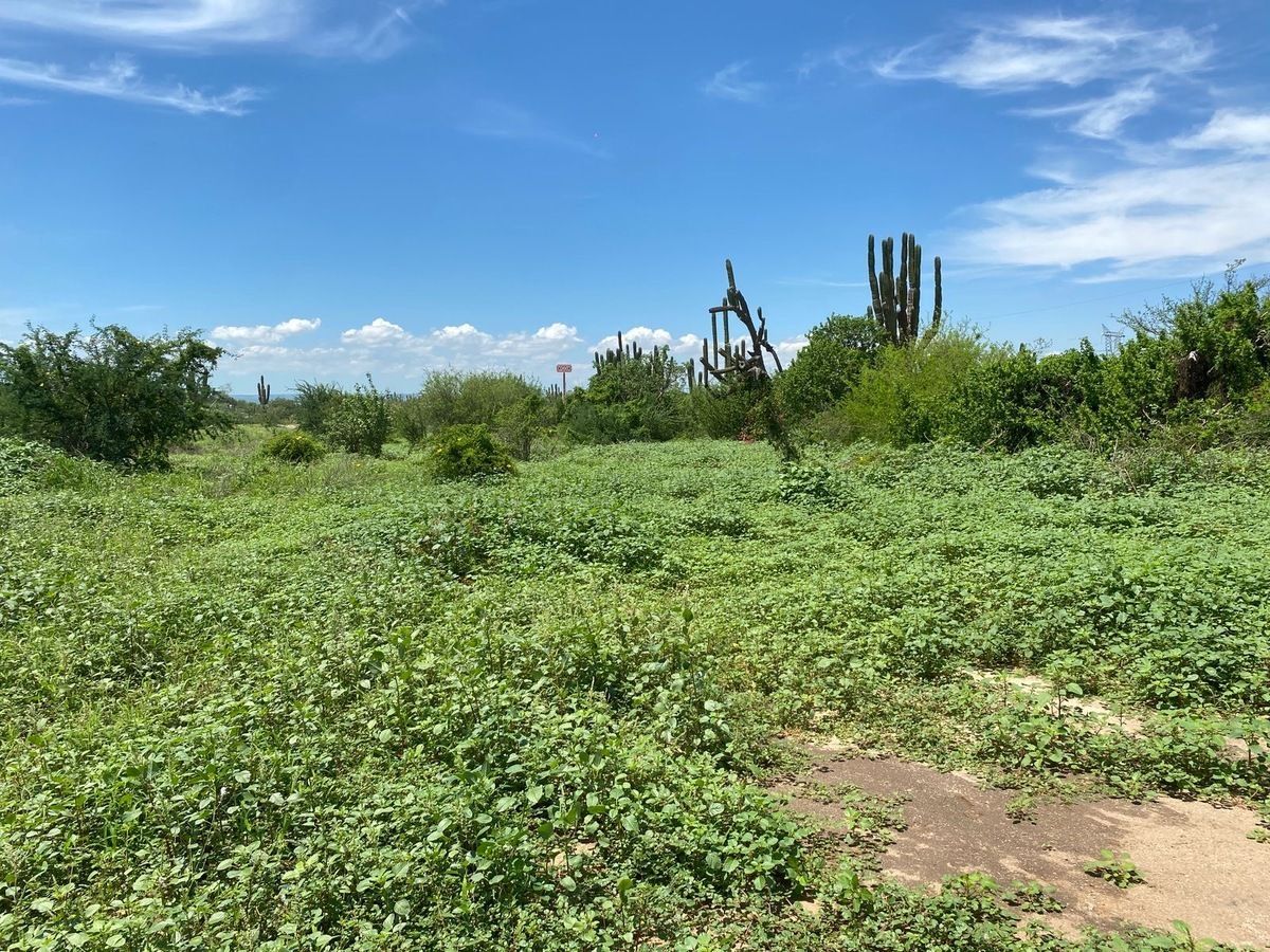 Lote em Calafia, La Paz, foto 2 de 3