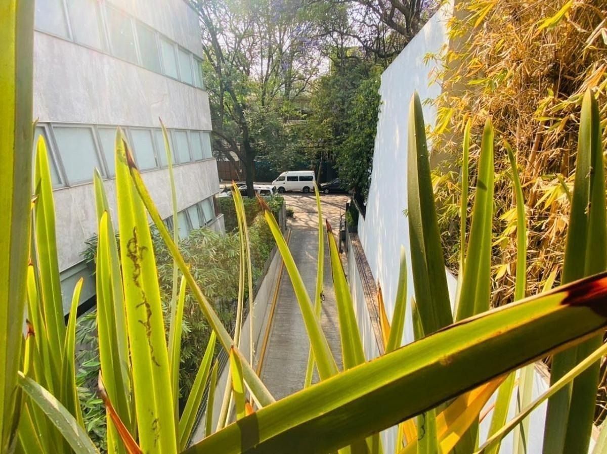 Apartamento em Polanco IV Sección, Miguel Hidalgo, foto 4 de 18