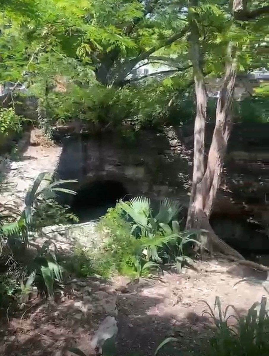Terreno comercial en Dolores Patron, Mérida, foto 4 de 8
