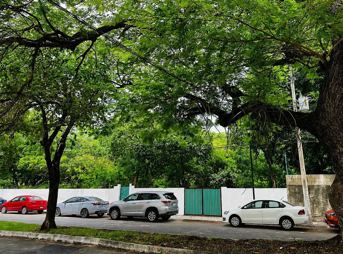 Terreno comercial en Dolores Patron, Mérida, foto 3 de 7