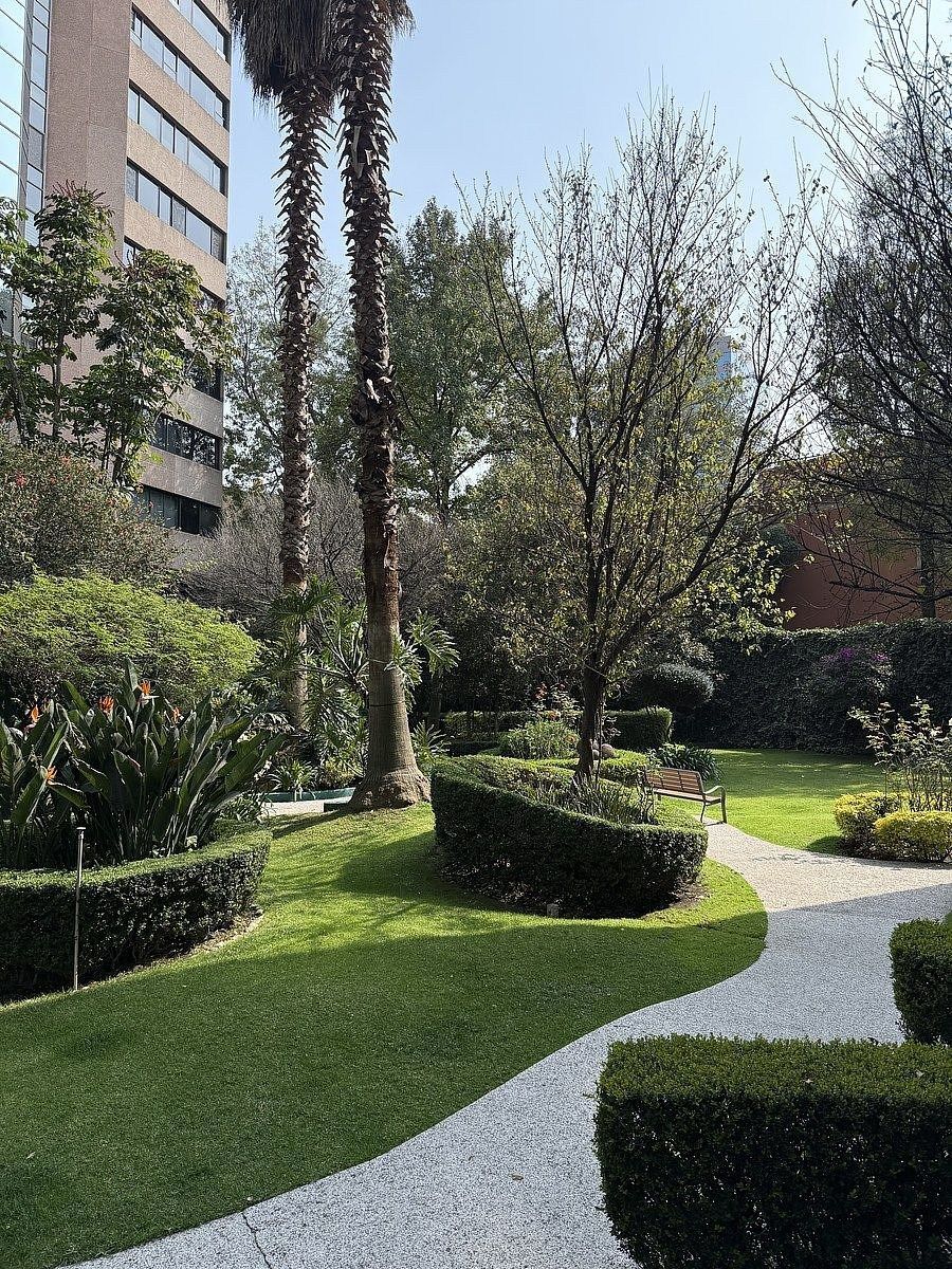 Apartment in Lomas de Chapultepec I Sección, Miguel Hidalgo, photo 36 of 49
