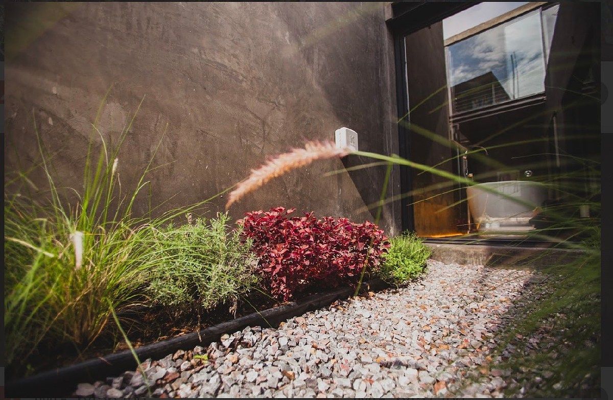 Casa en San Luis Potosí Centro, San Luis Potosí, foto 17 de 28