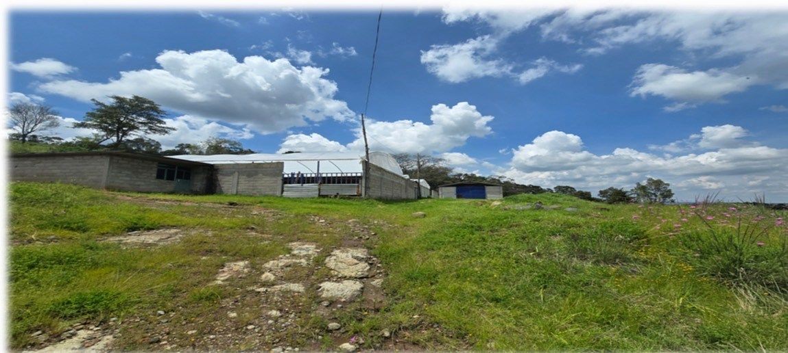 Rancho en Mefi, Chapa de Mota, foto 7 de 10