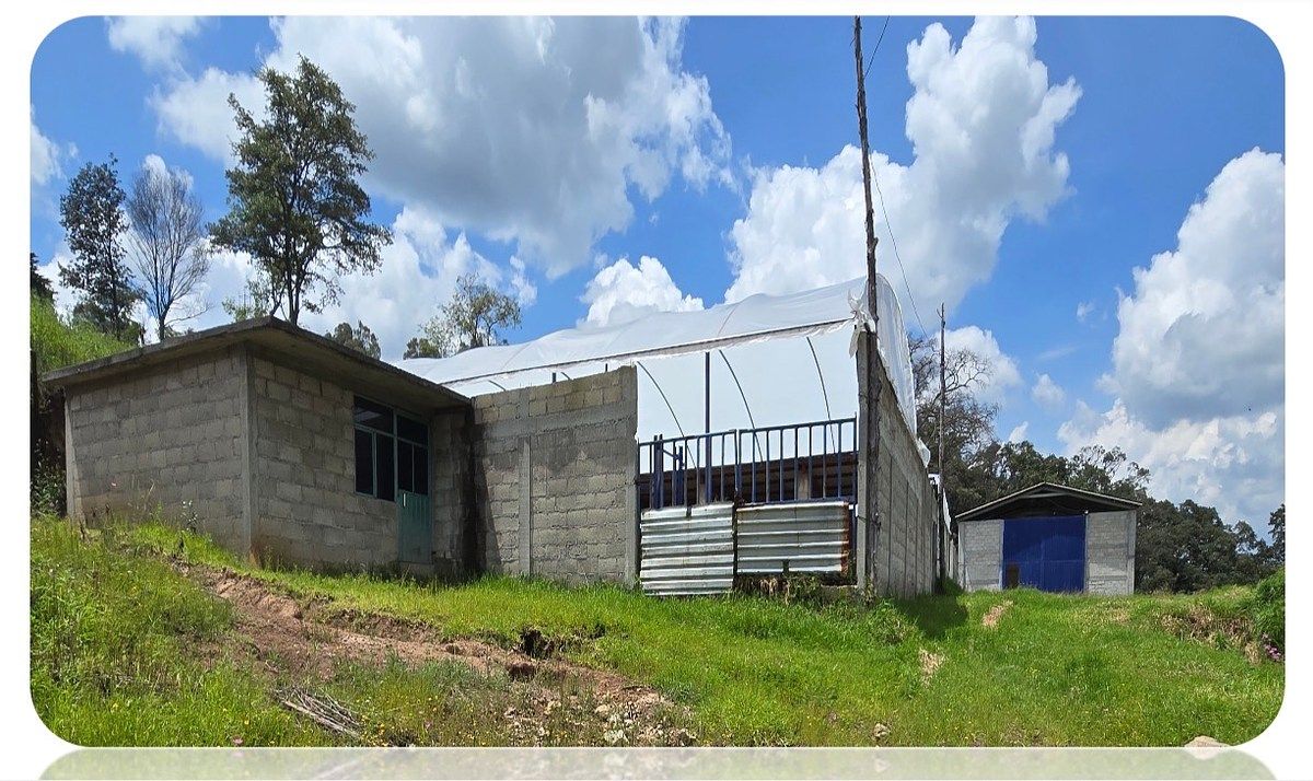 Rancho en Mefi, Chapa de Mota, foto 9 de 10
