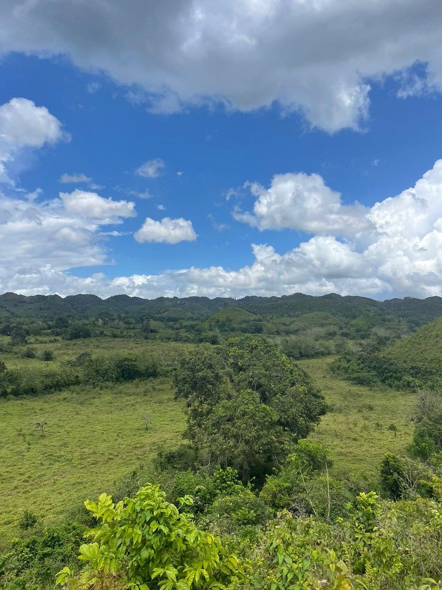 Terreno en Monte Plata, foto 3 de 4